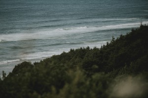 Somewhere in Oregon